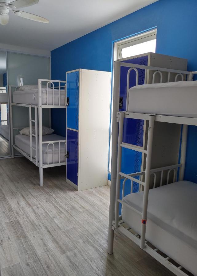 הוסטל סידני London Plane Backpackers מראה חיצוני תמונה